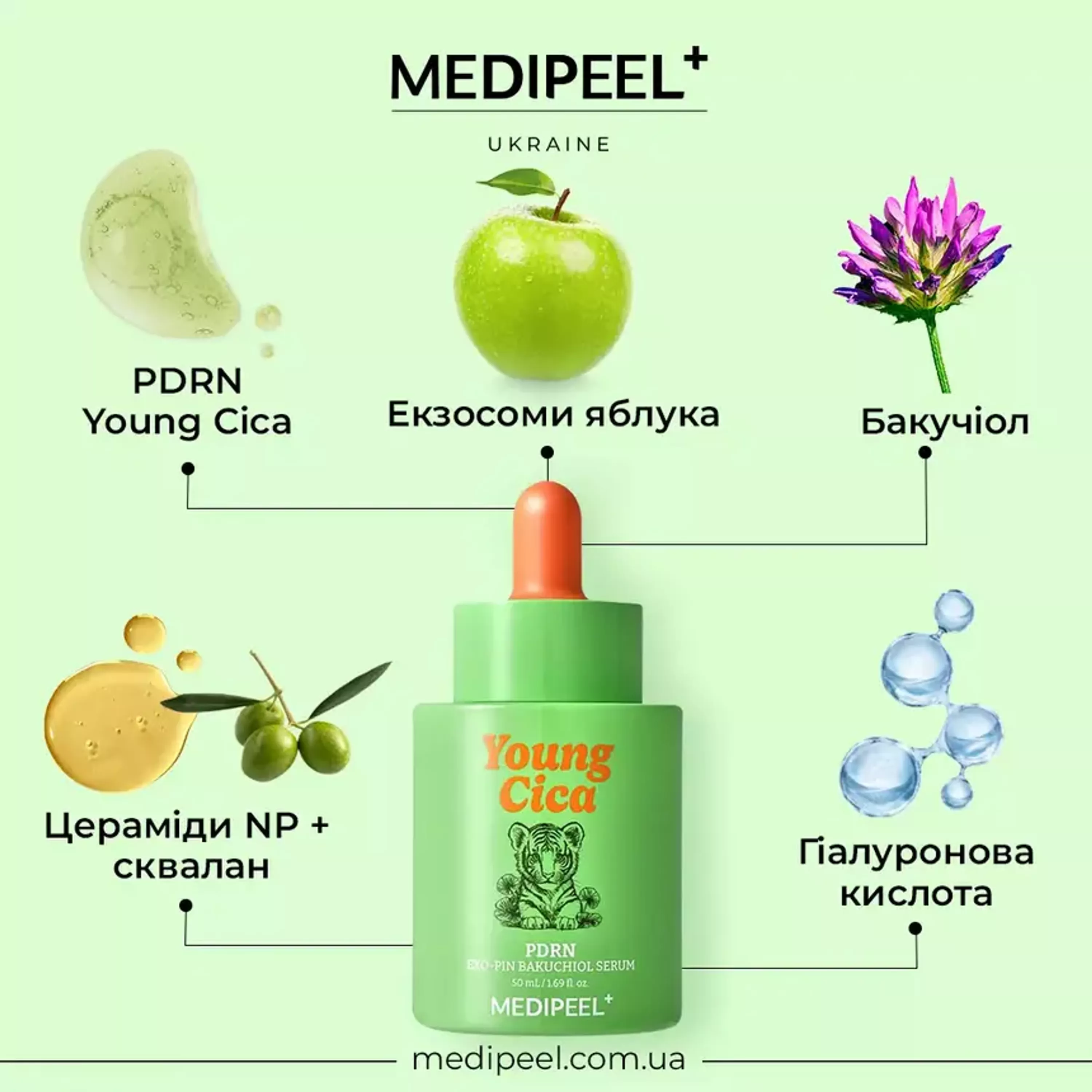 Зміцнювальна сироватка з PDRN та бакучіолом Medi-Peel Young Cica PDRN Exo-Pin Bakuchiol Serum, 50 ml 