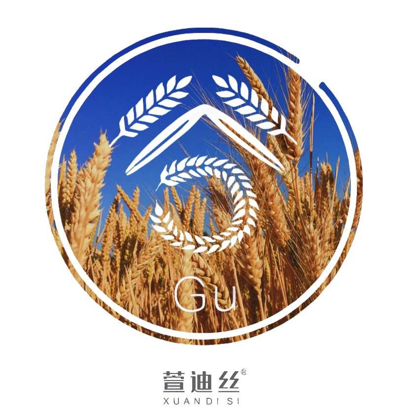 Xuandi Si 