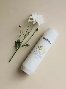 Відновлюючий шампунь для сухого та пошкодженого волосся GOLDWELL DUALSENSES RICH REPAIR RESTORING SHAMPOO, 250 ml