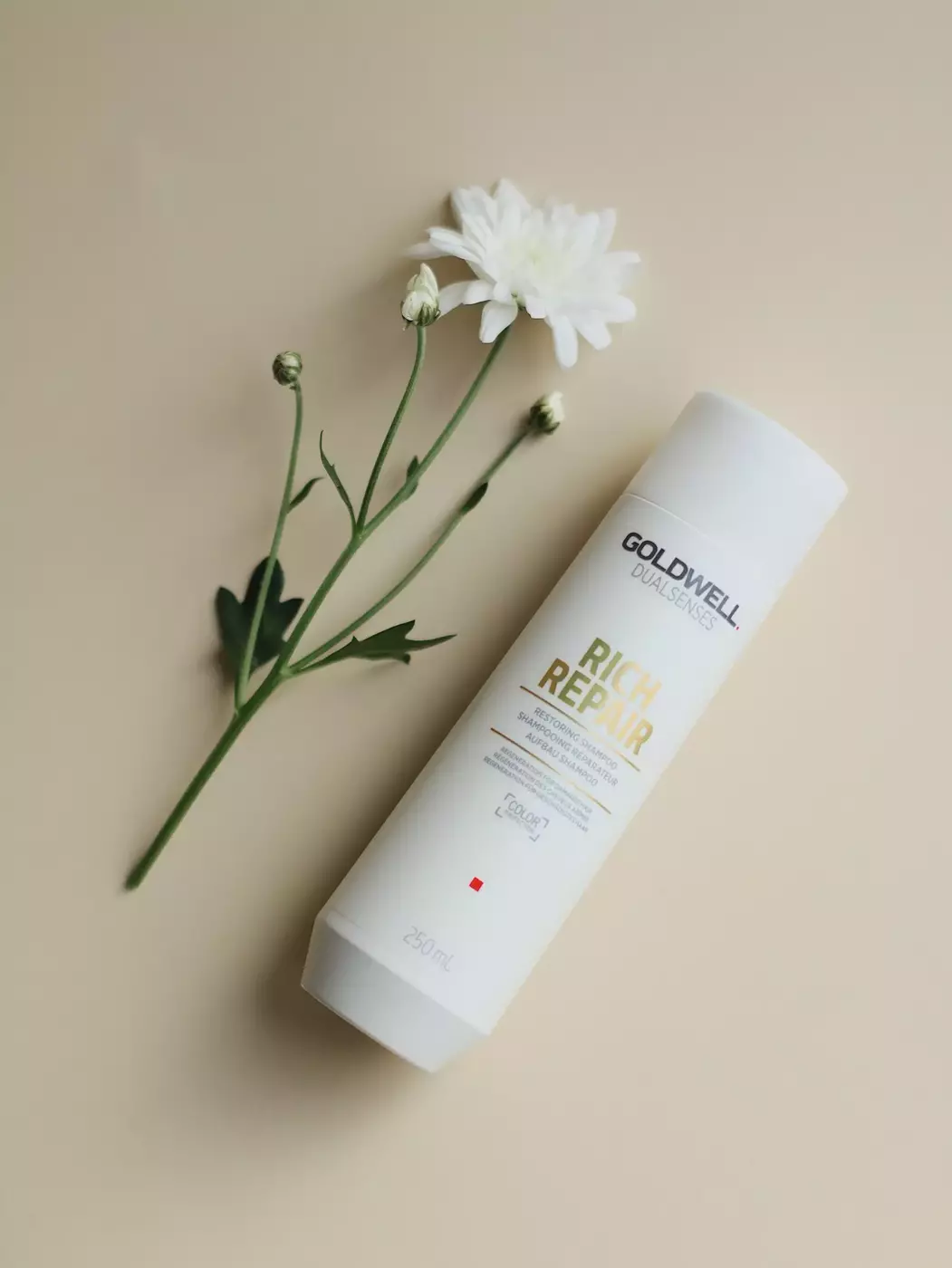 Відновлюючий шампунь для сухого та пошкодженого волосся GOLDWELL DUALSENSES RICH REPAIR RESTORING SHAMPOO, 250 ml