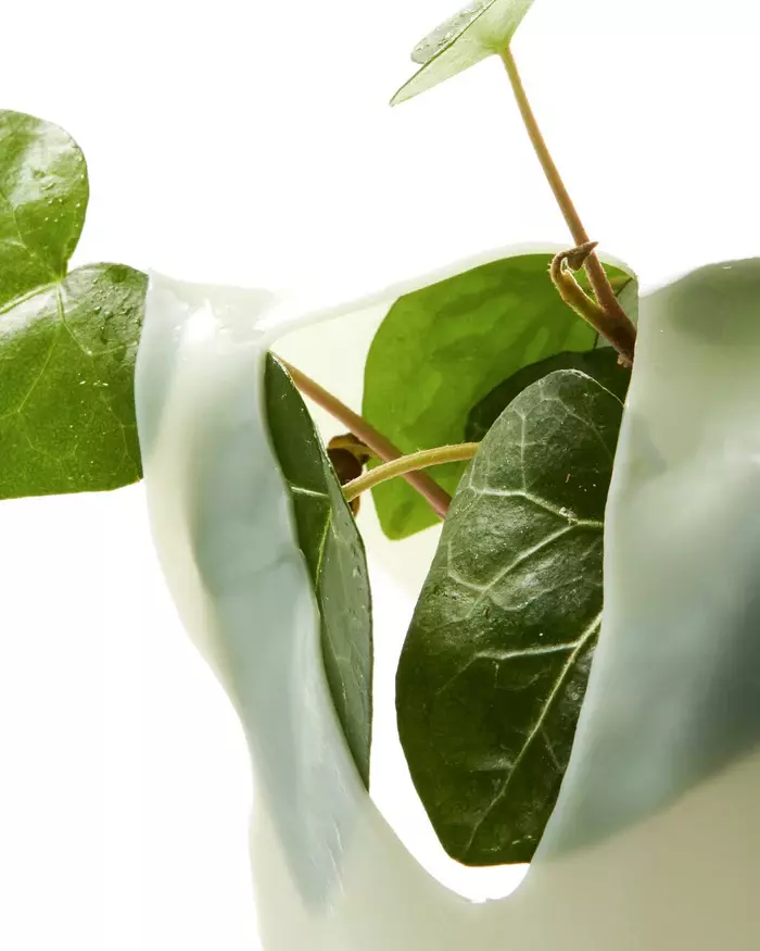 Колагенова маска з хауттюйнією серцевидною ANUA Heartleaf 70 Soothing Collagen Mask, 34 g