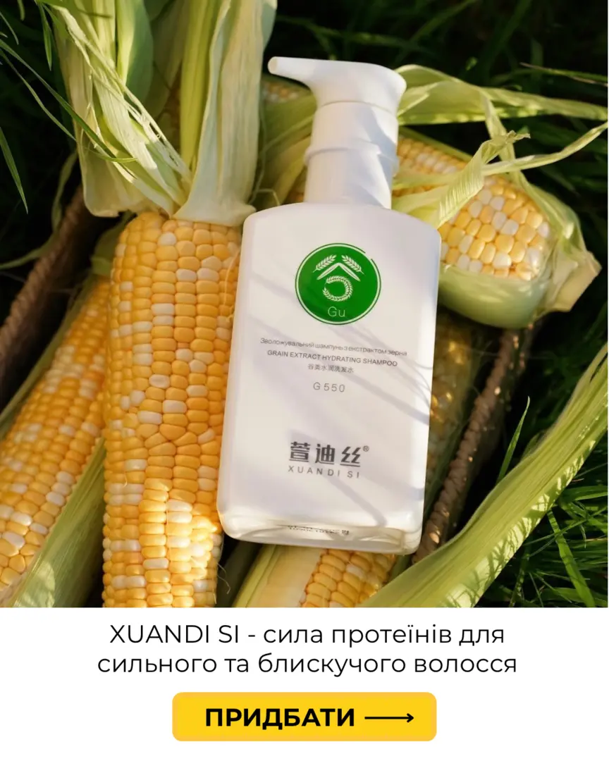Xuandi Si 